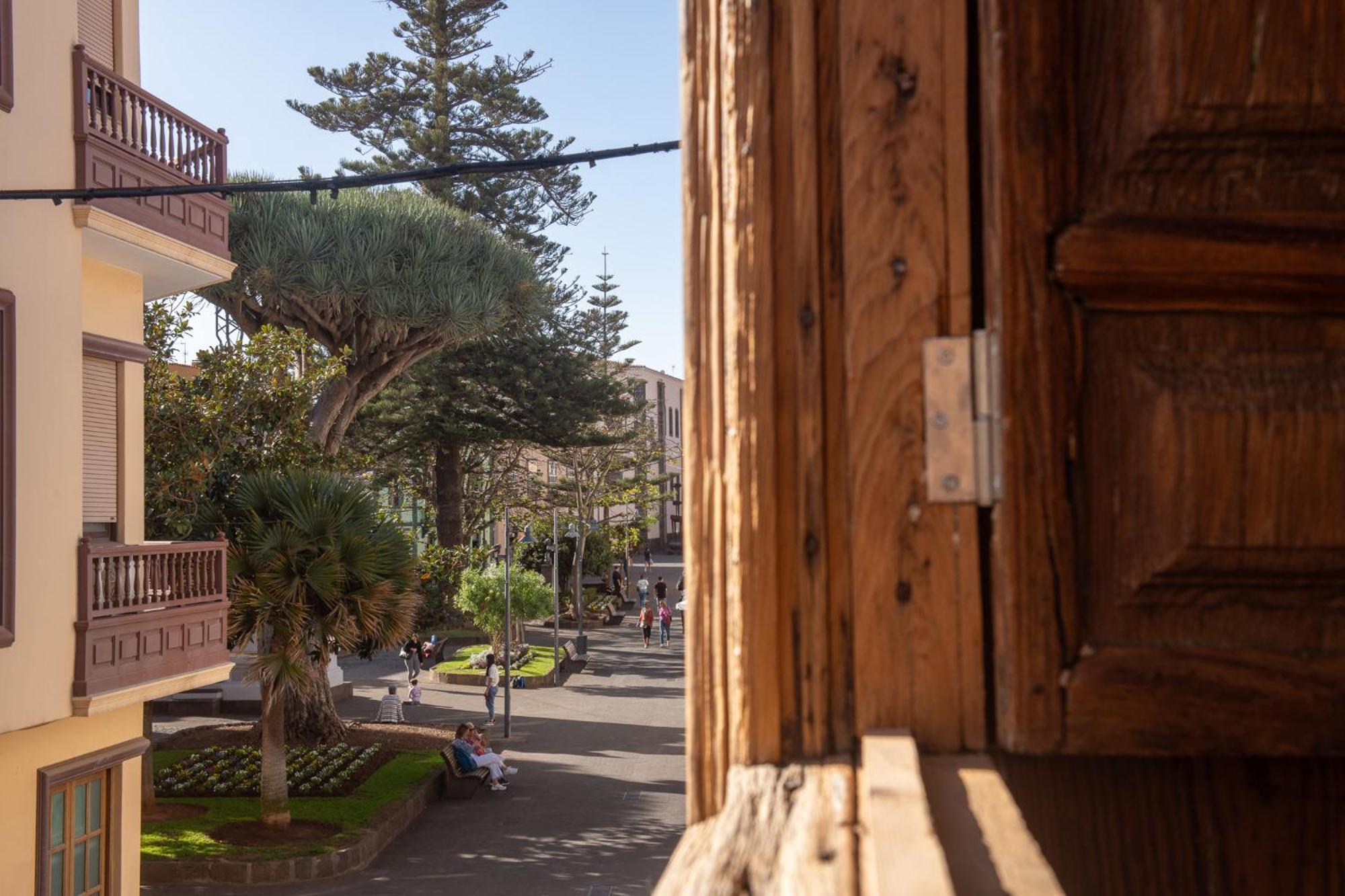 فندق La Casa De La Camelia لا لاغونا المظهر الخارجي الصورة