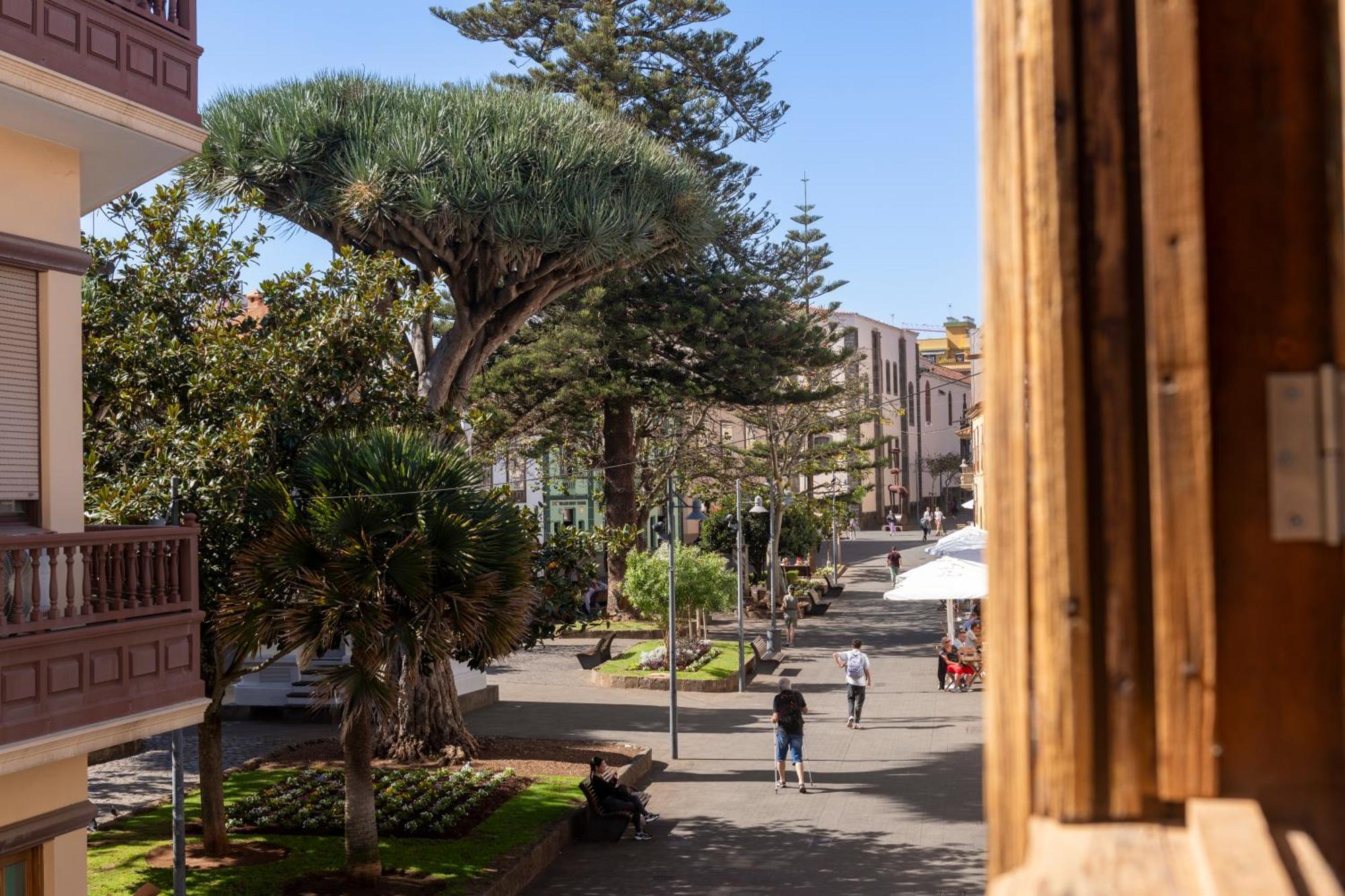 فندق La Casa De La Camelia لا لاغونا المظهر الخارجي الصورة